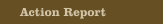 Action Report