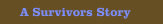 A Survivors Story