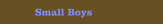 Small Boys